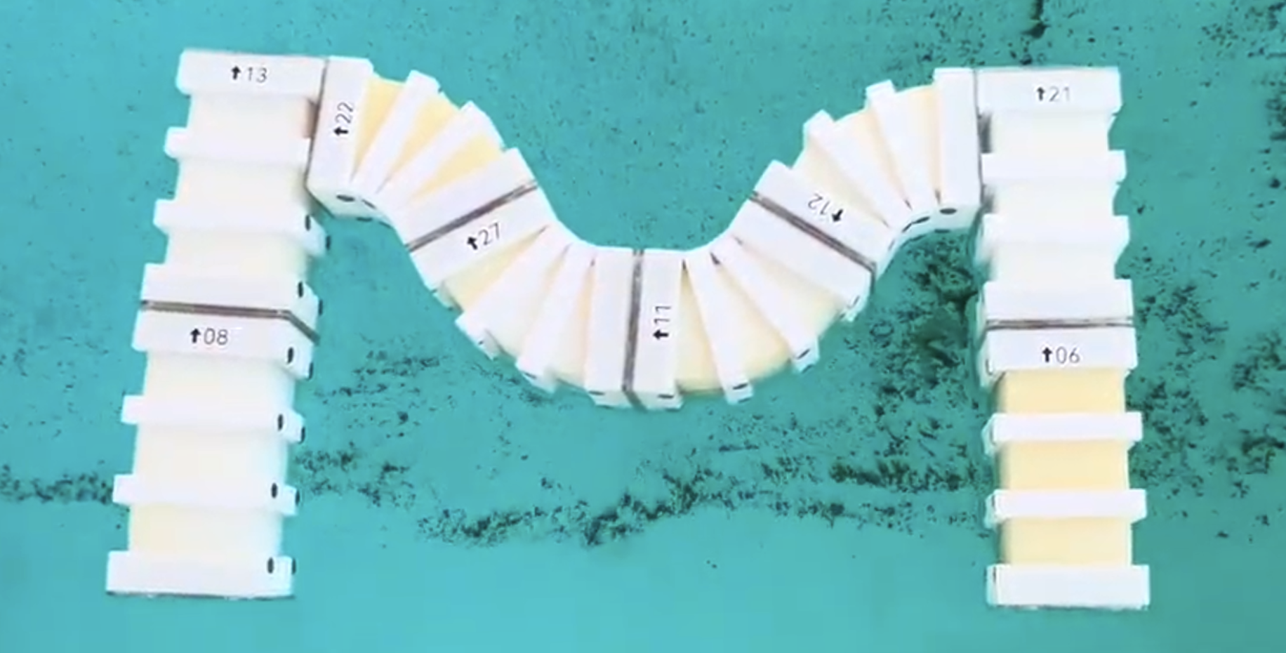 Aquatic Modular Soft Robots